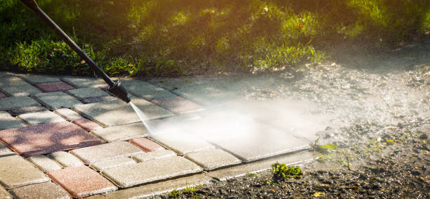 Best Pool Deck Cleaning  in Honeygo, MD